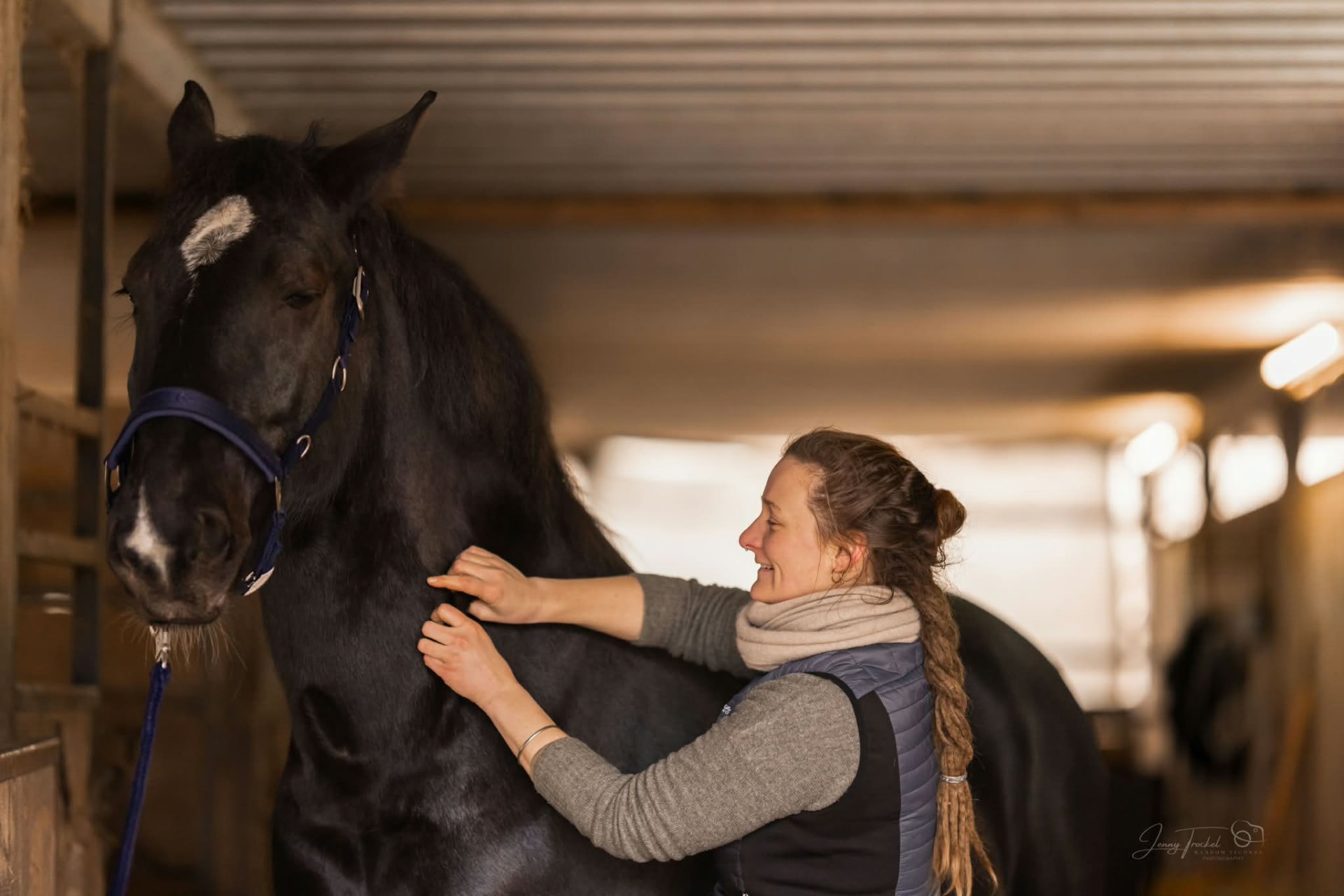Anwendung: Manuelle Therapie am Pferd