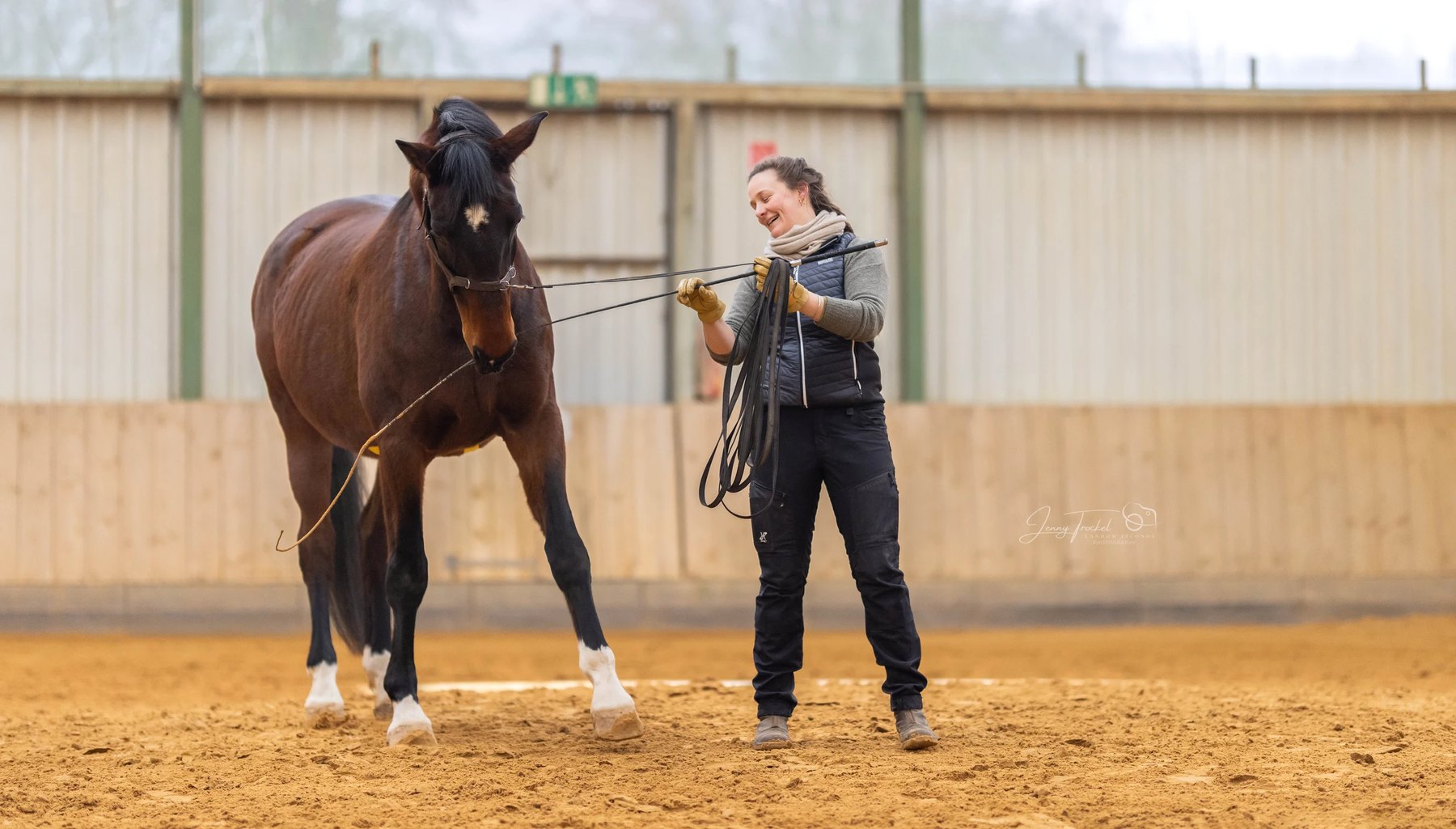 Anwendung: Physiotherapie am Pferd