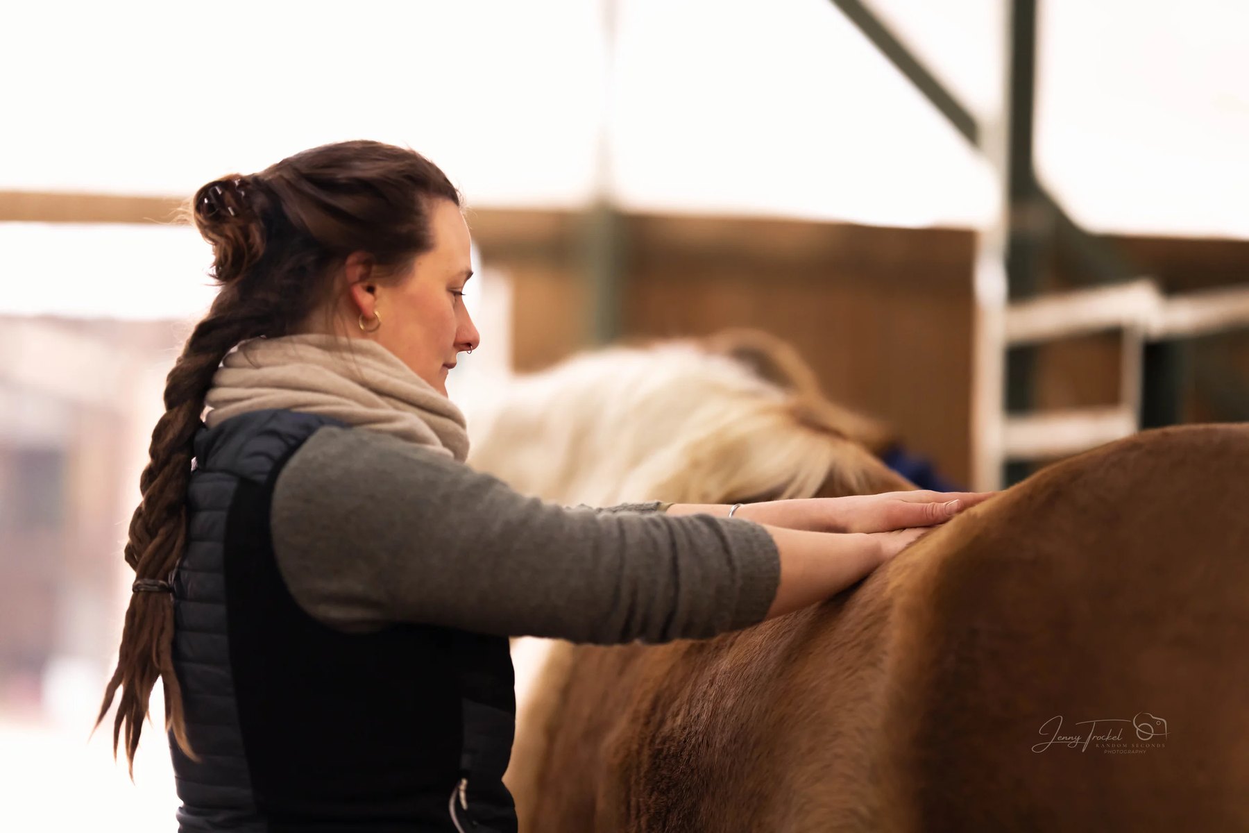 Anwendung: Osteopathie am Pferd