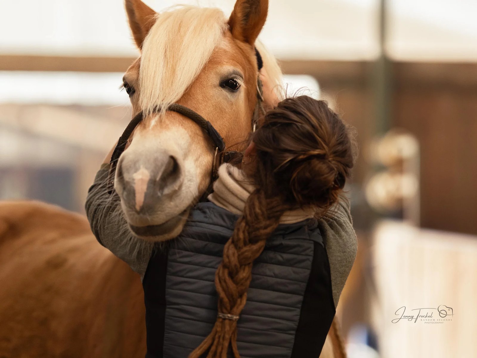 Haflinger legt seinen Kopf vertrauensvoll an die Schulter der Osteopathin
