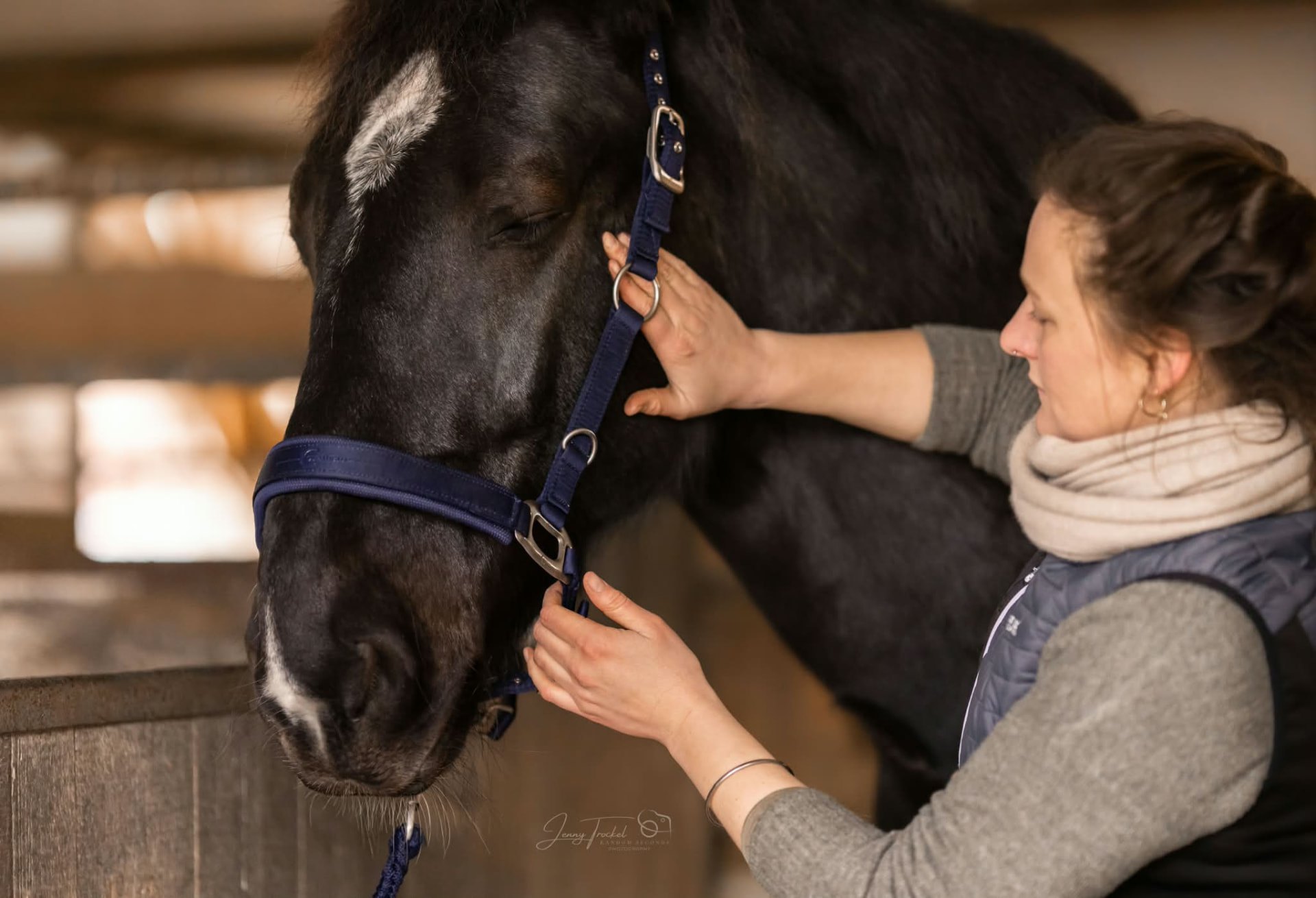 Anwendung: Craniosacrale Therapie am Pferd